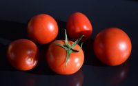 John Denver und die Tomaten aus dem Garten