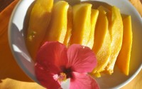 Frühlingsfrisches Frühstück: Mango pur