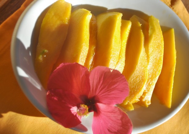 Mmmhh - Mango  © muehleib