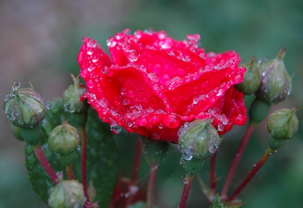 So schön kann kalter Regen sein. © muehleib
