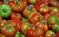 Wollen uns die Grünen wirklich das Fleisch verbieten?