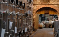 Weinkontrolle: In Vino fast alles Veritas