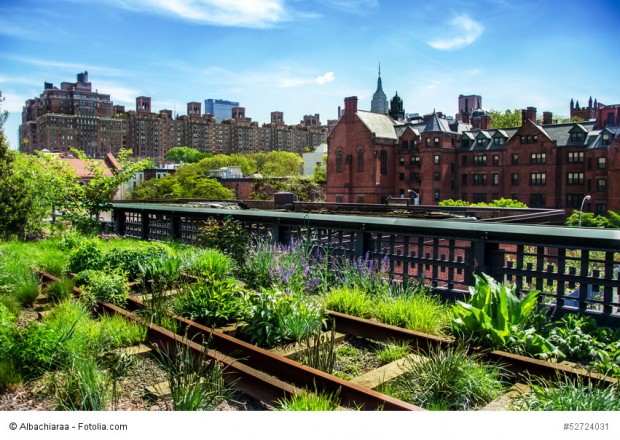 Macht den Städter zum Landwirt: Urban Gardening